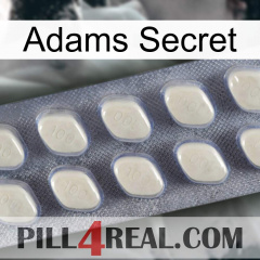 Adams Secret 08